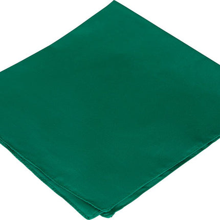 Groene Bandana 54cm van Fiestas Guirca koop je bij Partywinkel