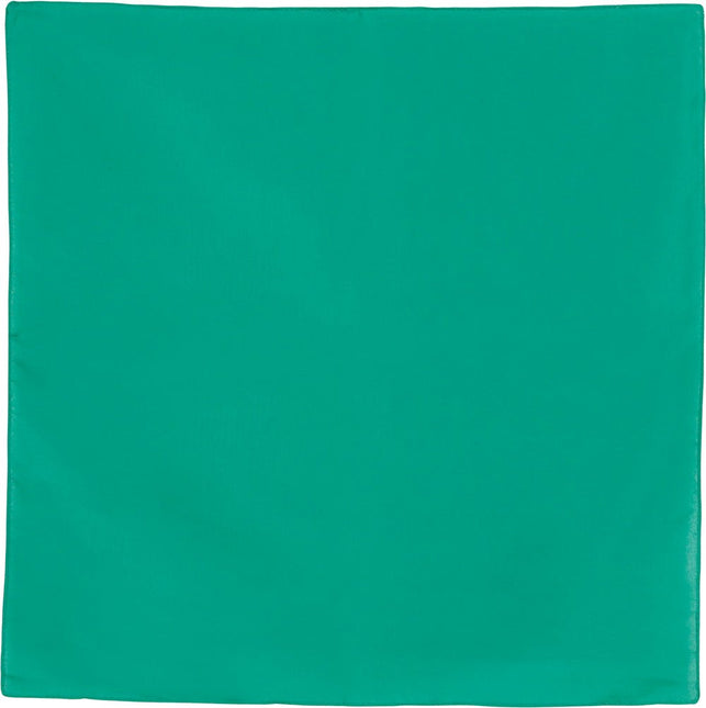 Groene Bandana 54cm van Fiestas Guirca koop je bij Partywinkel
