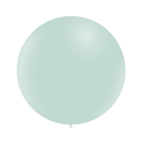 Groene Reuze Ballon Pastel 60cm van Balloonia koop je bij Partywinkel