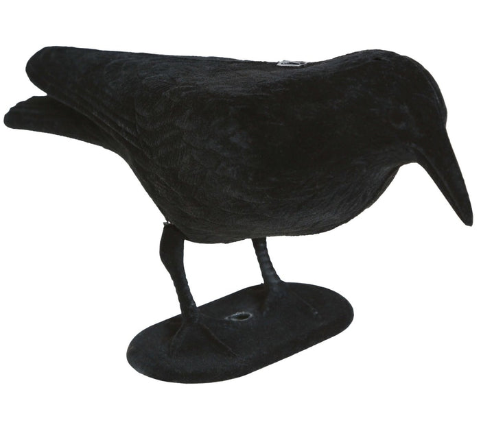 Halloween Decoratie Raaf 30cm van Fiestas Guirca koop je bij Partywinkel