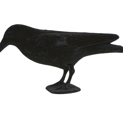 Halloween Decoratie Raaf 30cm van Fiestas Guirca koop je bij Partywinkel