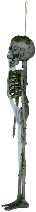 Halloween Hangdecoratie Skelet Met Mos 40cm van Fiestas Guirca koop je bij Partywinkel