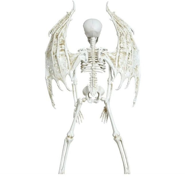 Halloween Skelet Met Vleugels 46cm van Fiestas Guirca koop je bij Partywinkel
