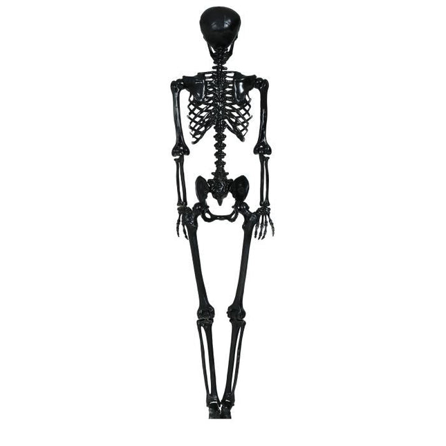 Halloween Hangdecoratie Zwart Skelet 1,6m van Fiestas Guirca koop je bij Partywinkel