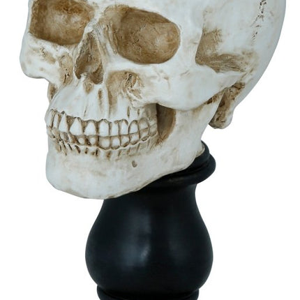 Halloween Kaarsenhouder Schedel 25cm van Fiestas Guirca koop je bij Partywinkel