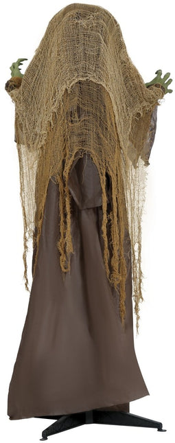 Halloween Pop Heks 1,45m van Fiestas Guirca koop je bij Partywinkel