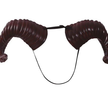 Halloween Satanhoorns 20cm van Fiestas Guirca koop je bij Partywinkel