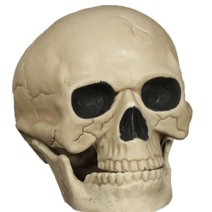 Halloween Schedel 20cm van Fiestas Guirca koop je bij Partywinkel