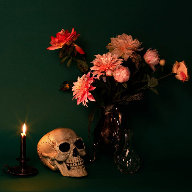 Halloween Schedel Beweegbare Kaak van Boland koop je bij Partywinkel