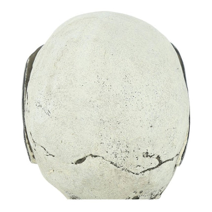 Halloween Schedel Bril 11cm van Fiestas Guirca koop je bij Partywinkel