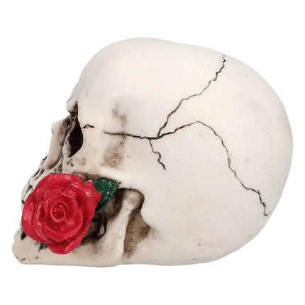 Halloween Schedel Casanova 13,5cm van Boland koop je bij Partywinkel