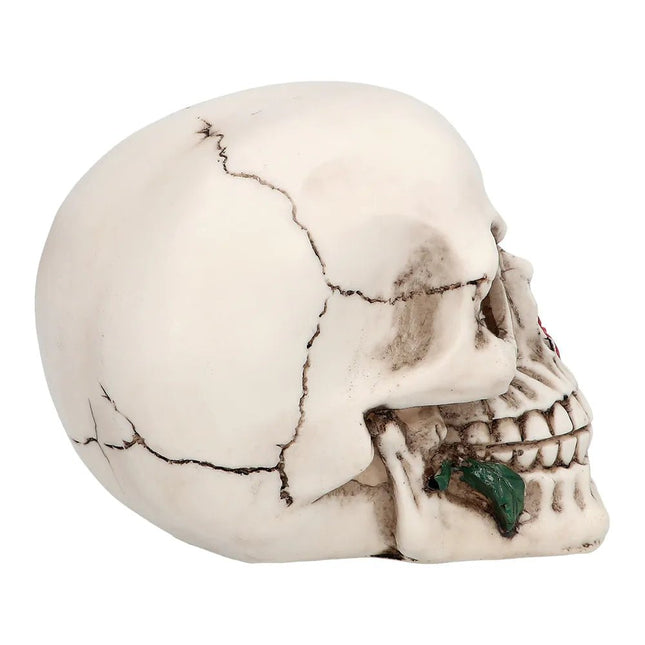 Halloween Schedel Casanova 13,5cm van Boland koop je bij Partywinkel