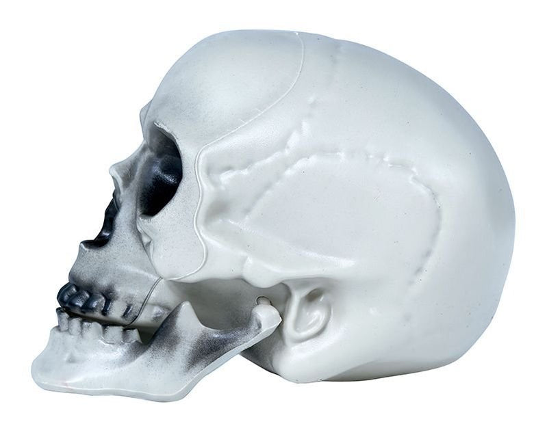 Halloween Schedel Grijs 20cm van Fiestas Guirca koop je bij Partywinkel