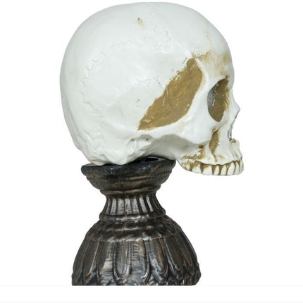 Halloween Schedel Met Licht En Geluid 28cm van Fiestas Guirca koop je bij Partywinkel