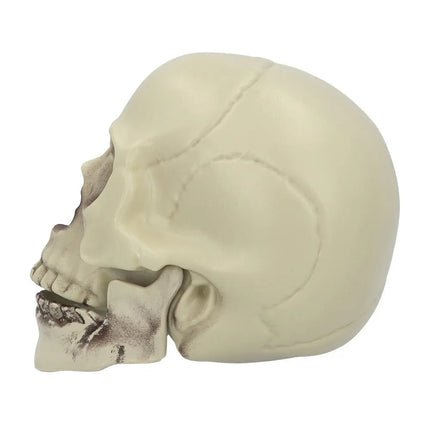 Halloween Schedel Whisperbone 20cm van Boland koop je bij Partywinkel