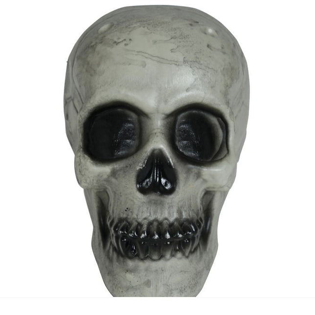 Halloween Schedel Wit 20cm van Fiestas Guirca koop je bij Partywinkel