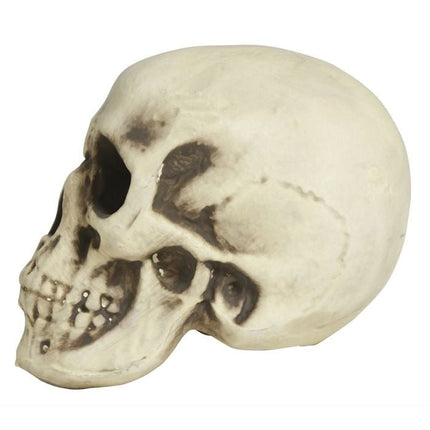 Halloween Schedel Wit Schuim 20cm van Fiestas Guirca koop je bij Partywinkel