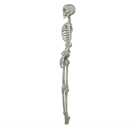 Halloween Skelet 1,6m van Fiestas Guirca koop je bij Partywinkel