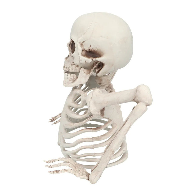 Halloween Skelet 20cm van Boland koop je bij Partywinkel