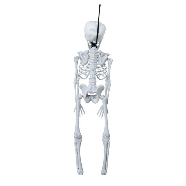 Halloween Skelet 40cm van Fiestas Guirca koop je bij Partywinkel