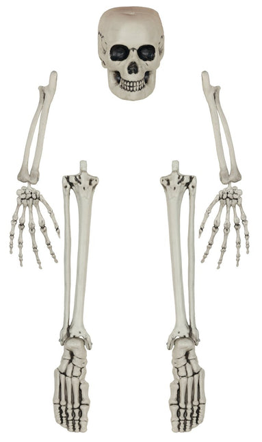 Halloween Skelet Botten 5 delig van Fiestas Guirca koop je bij Partywinkel