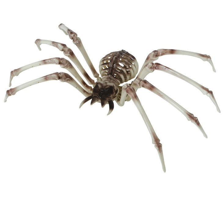 Halloween Skelet Spider 85cm van Fiestas Guirca koop je bij Partywinkel