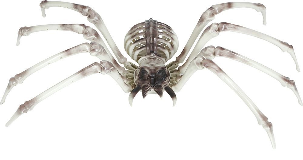 Halloween Skelet Spider 85cm van Fiestas Guirca koop je bij Partywinkel