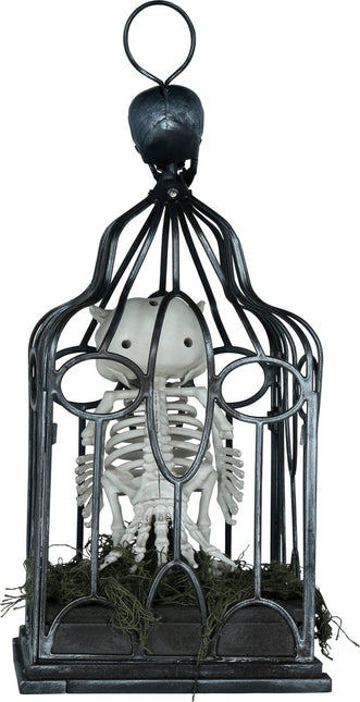 Halloween Skelet Uil In Kooi Met Licht, Geluid En Beweging van Fiestas Guirca koop je bij Partywinkel