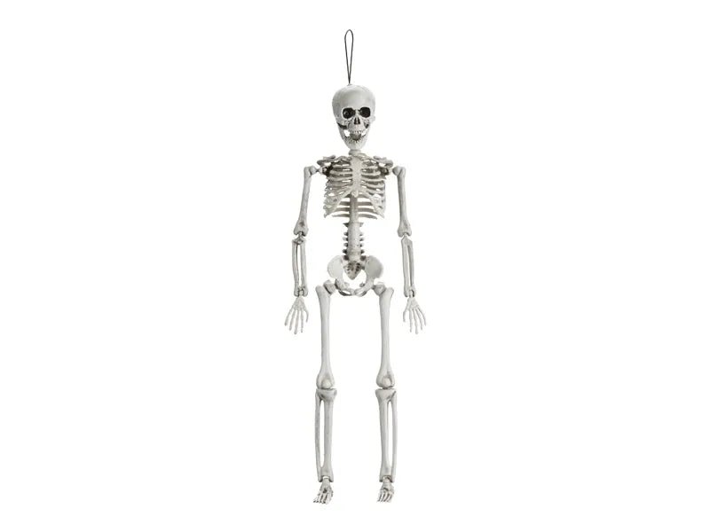 Halloween Skelet Wit 40cm van Partydeco koop je bij Partywinkel
