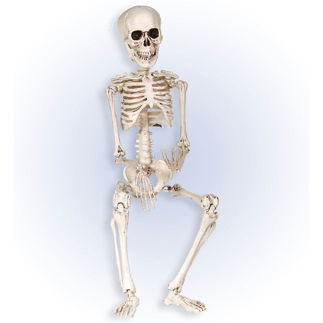 Halloween Skelet Wit 50cm van Widmann koop je bij Partywinkel