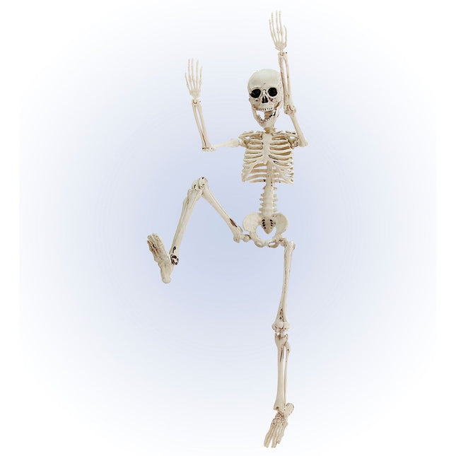 Halloween Skelet Wit 50cm van Widmann koop je bij Partywinkel