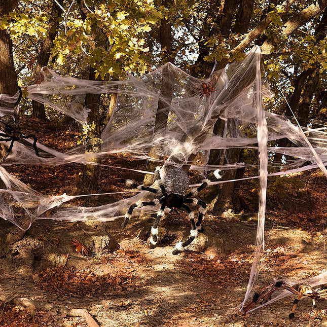 Halloween Spinnenrag Set 26 delig van Boland koop je bij Partywinkel