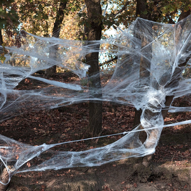Halloween Spinnenrag Set 26 delig van Boland koop je bij Partywinkel