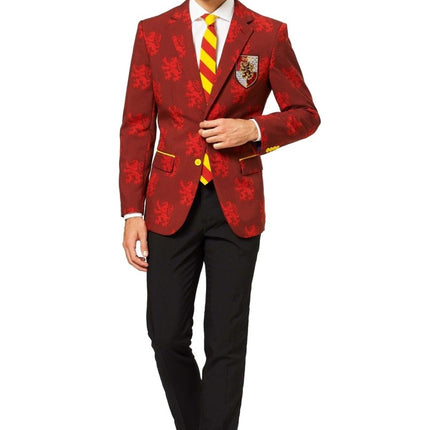 Harry Potter Pak Heren van OppoSuits koop je bij Partywinkel