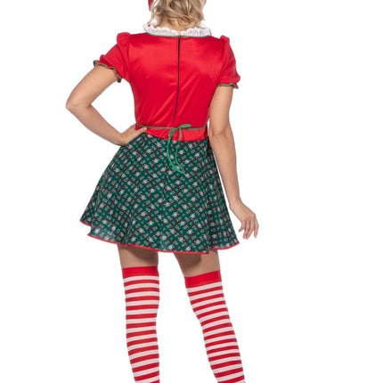 Kabouter Jurk Dames van Wilbers & Wilbers koop je bij Partywinkel