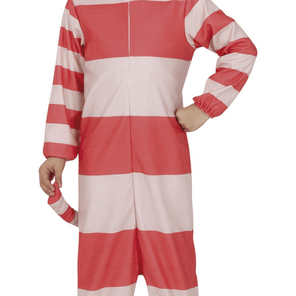 Katten Onesie Kind van Fiestas Guirca koop je bij Partywinkel