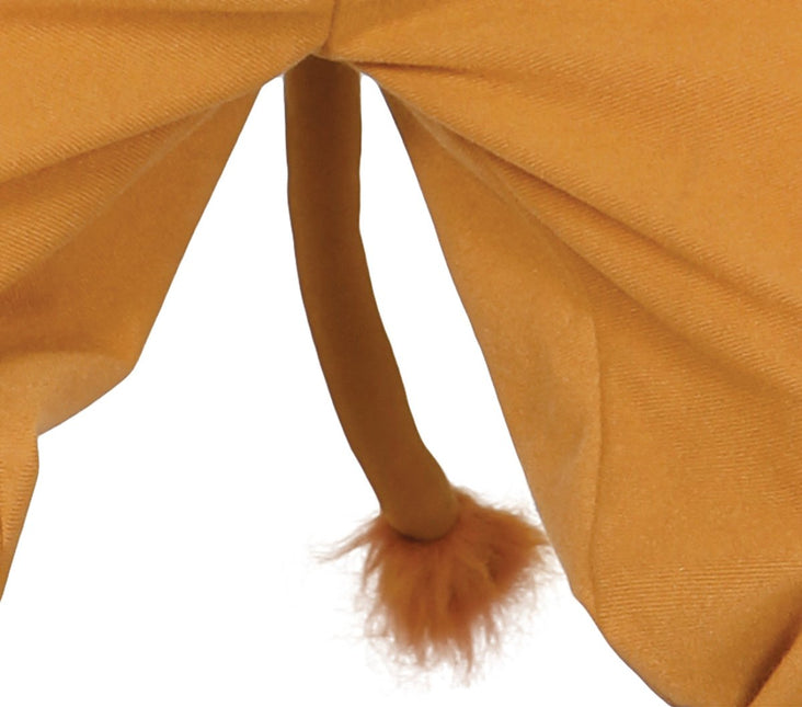 Leeuw Kostuum Kind van Fiestas Guirca koop je bij Partywinkel