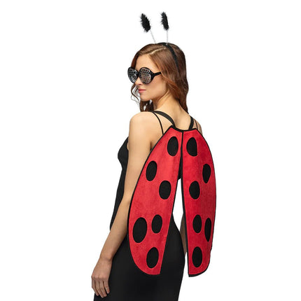 Lieveheersbeestje Accessoireset 3 delig van Boland koop je bij Partywinkel