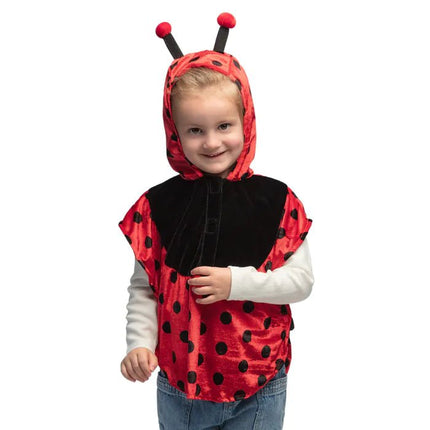 Lieveheersbeestje Poncho Kind van Boland koop je bij Partywinkel