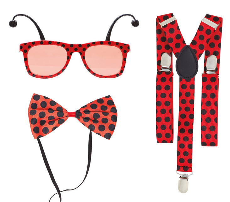 Lieveheersbeestje Set 3 delig van Fiestas Guirca koop je bij Partywinkel