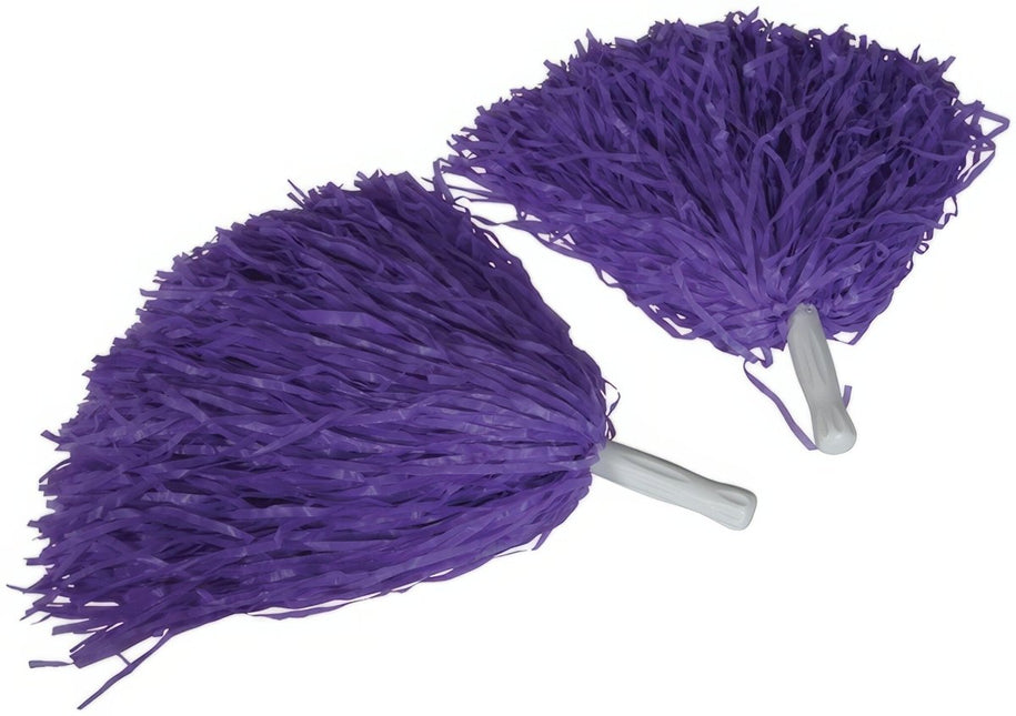 Lila Pompoms 2st van Fiestas Guirca koop je bij Partywinkel
