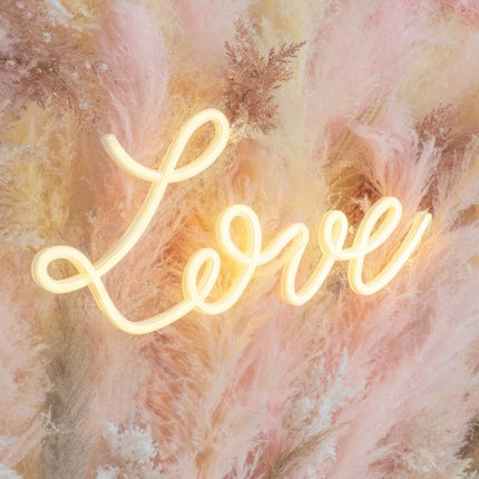 Love Neon Lamp 61cm van Partydeco koop je bij Partywinkel