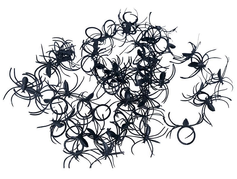 Nep Spinnen 2cm 50st van Fiestas Guirca koop je bij Partywinkel