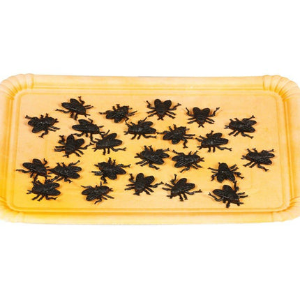 Nep Vliegen 2cm 24st van Fiestas Guirca koop je bij Partywinkel