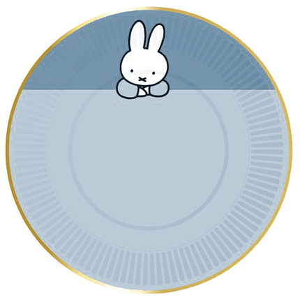 Nijntje Bordjes Blauw 18cm 8st van Haza Witbaard koop je bij Partywinkel