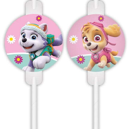 Paw Patrol Rietjes Skye And Everest 4st van Procos koop je bij Partywinkel