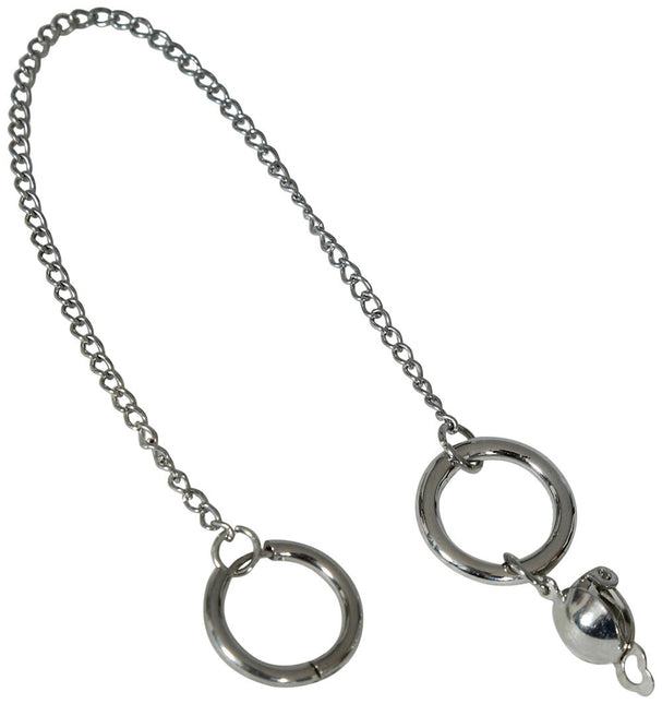 Piraat Accessoireset Zilver van Fiestas Guirca koop je bij Partywinkel