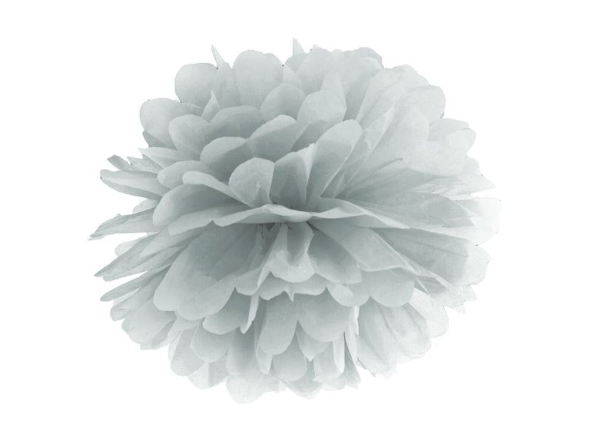 Pompon Zilver 25cm van Partydeco koop je bij Partywinkel