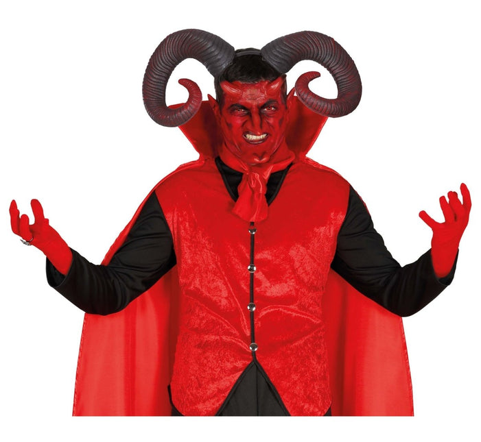 Ram Hoorns van Fiestas Guirca koop je bij Partywinkel