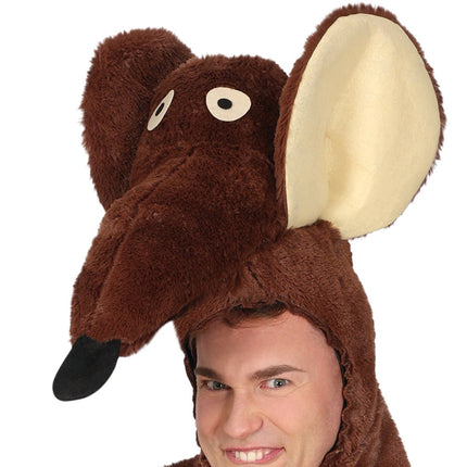 Rat Kostuum van Fiestas Guirca koop je bij Partywinkel